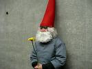 gnomecostume.jpg